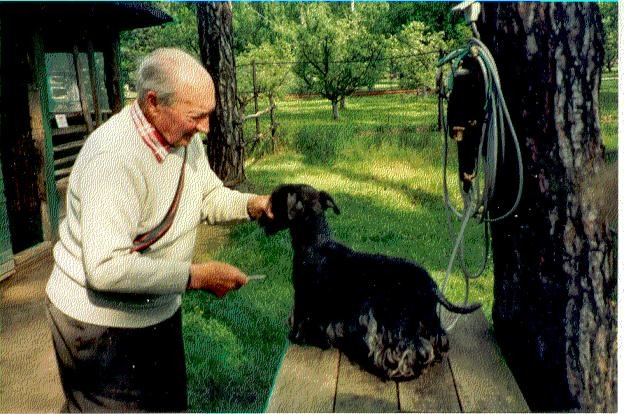 Mr. Horak grooming one of his Cesky Terriers